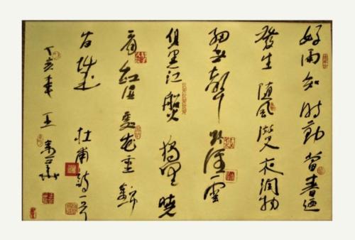 王金华的字1