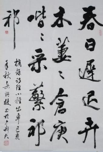 岳兴林的字4